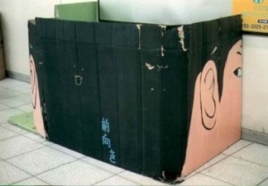 Painted Cardboard Houses Japan